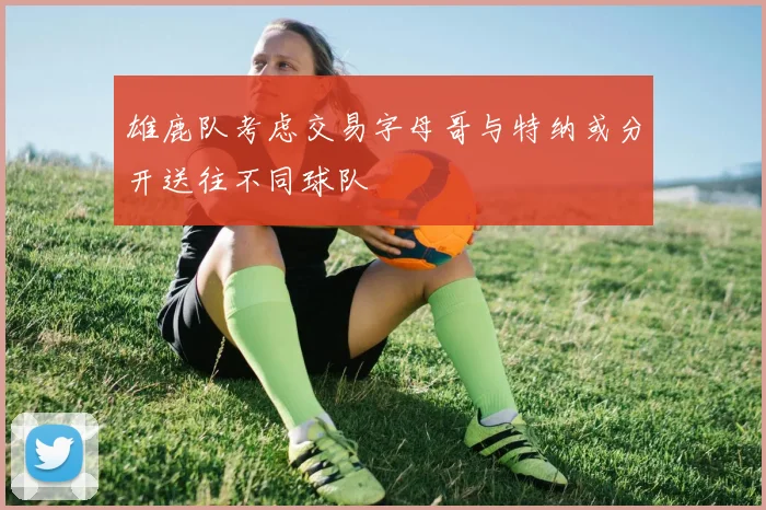 雄鹿队考虑交易字母哥与特纳或分开送往不同球队